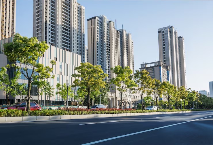 imgi_4_avenue-with-green-trees_1127-350